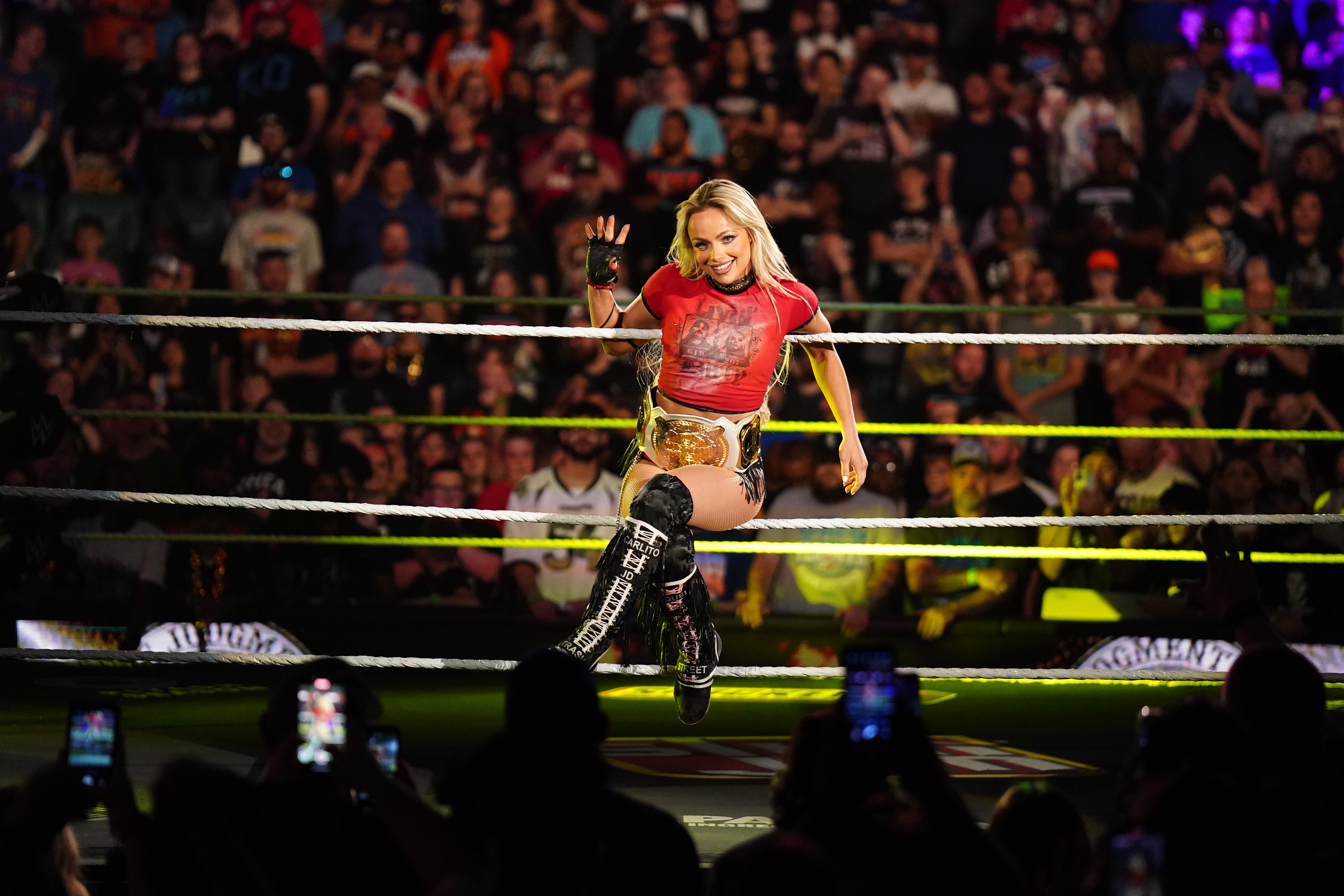WWE関連コンテンツ